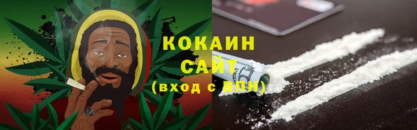 ГАЛЛЮЦИНОГЕННЫЕ ГРИБЫ Алексин