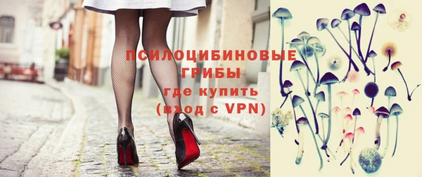 ГАЛЛЮЦИНОГЕННЫЕ ГРИБЫ Алексин