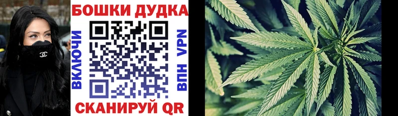 Каннабис Bruce Banner  как найти закладки  Вышний Волочёк 